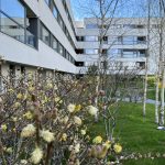 Avantaje complex rezidential vs. casa
