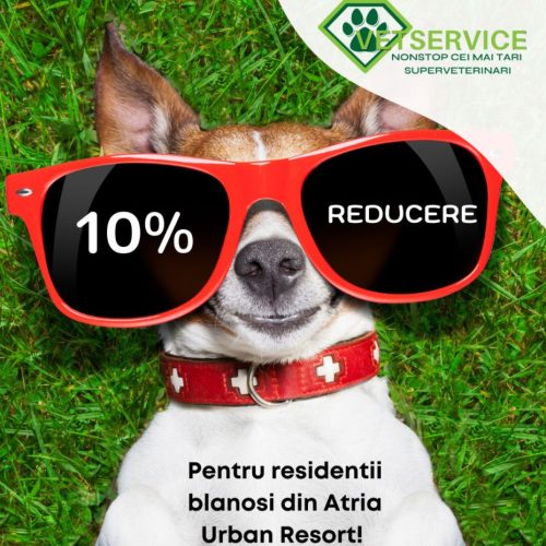 NOU! VetService